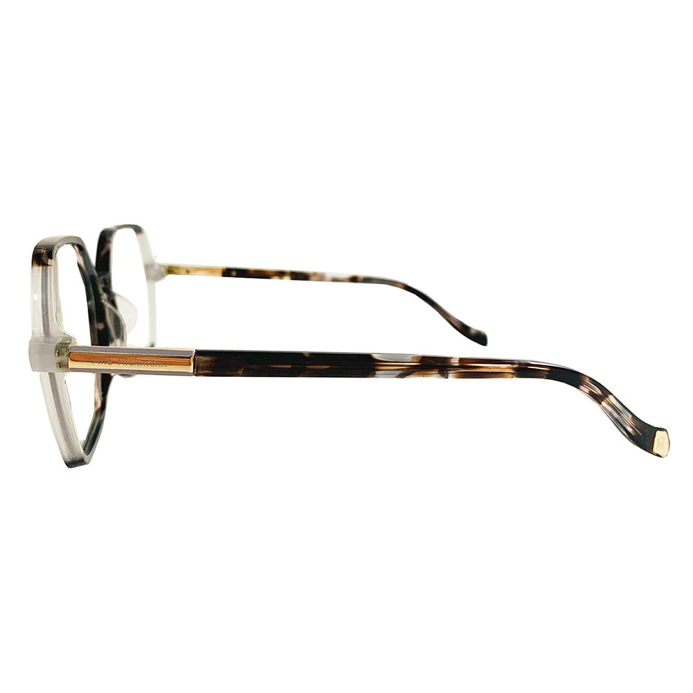 Armação de Óculos Ana Hickmann AH60009 Tartaruga G21