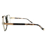 Armação de Óculos Ana Hickmann AH60009 Tartaruga G21